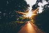 road-2.jpg